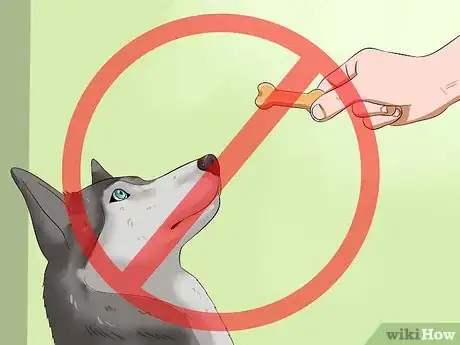 Image titled Get Your Dog to Eat Dry Food Step 9