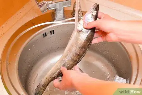 Image titled Fillet a Rainbow Trout Fish Step 1