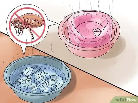 Image titled Rid Your Pet of Fleas Step 21
