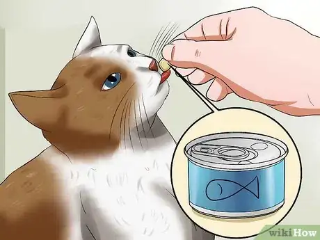 Image titled Teach a Cat to Recognize Its Name Step 3