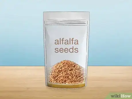 Image titled Grow Alfalfa Sprouts Step 1