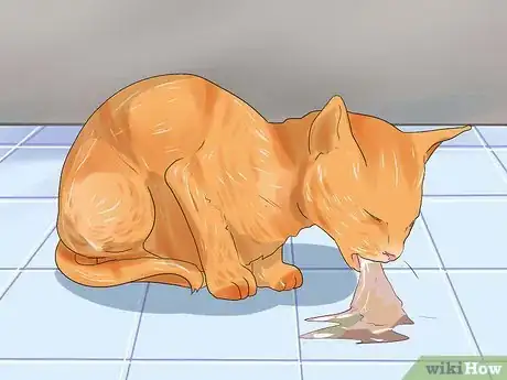 Image titled Check Cats for Worms Step 4