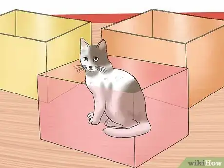 Image titled Exercise a Cat Step 11