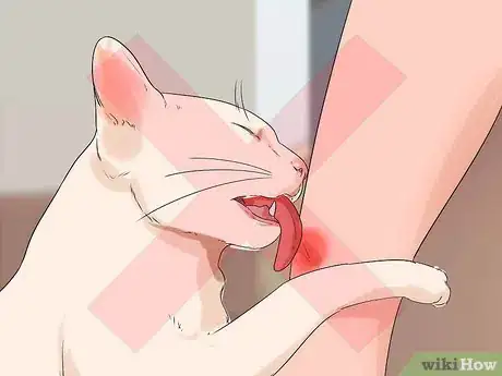 Image titled Prevent Cat Scratch Disease Step 5