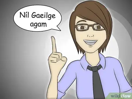 Image titled Learn Common Phrases in Irish Step 10