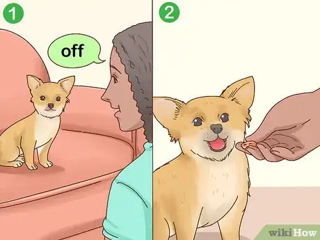 Image titled Keep Pets off the Furniture Step 14