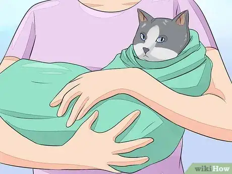 Image titled Give Your Cat Nose Drops Step 12