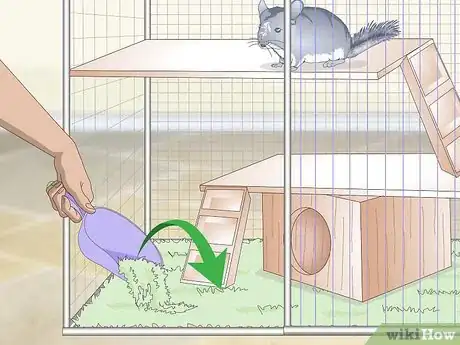 Image titled Care for Chinchillas Step 7