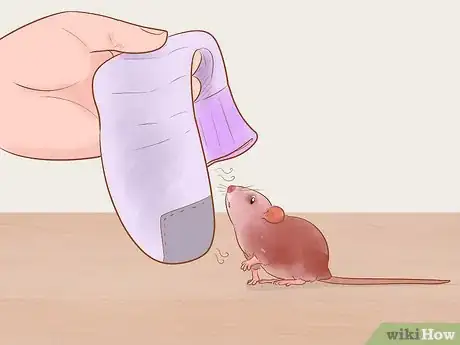 Image titled Avoid Frightening Your Pet Mouse Step 2