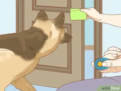 Image titled Teach Your Dog to Close the Door Step 10