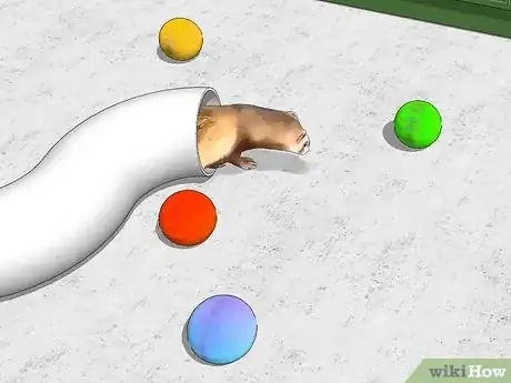 Image titled Care for a Ferret Step 13