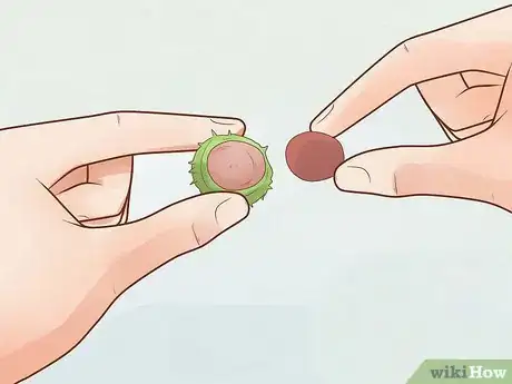 Image titled Play Conkers Step 13