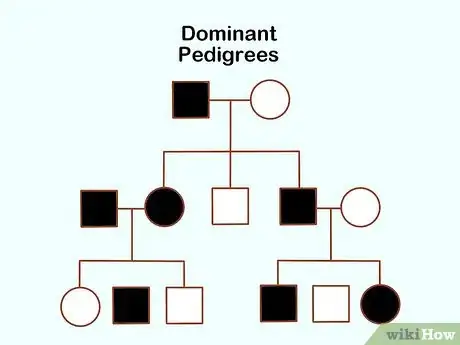 Image titled Read Pedigrees Step 13