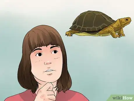 Image titled Take Care of a Land Turtle Step 1