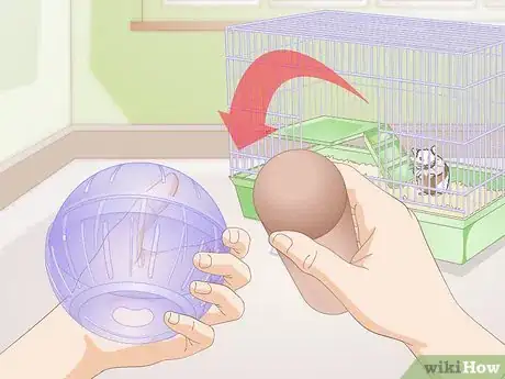 Image titled Make a Hamster Playground Step 11