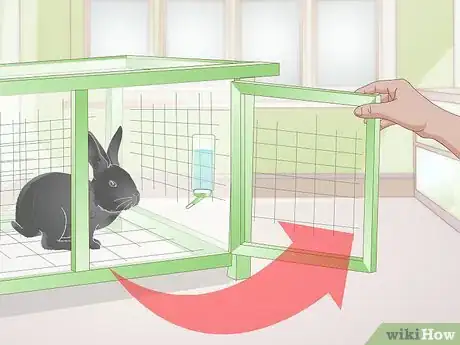 Image titled Earn Your Rabbit's Trust Step 2