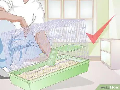 Image titled Make Your Hamster Happy Step 4