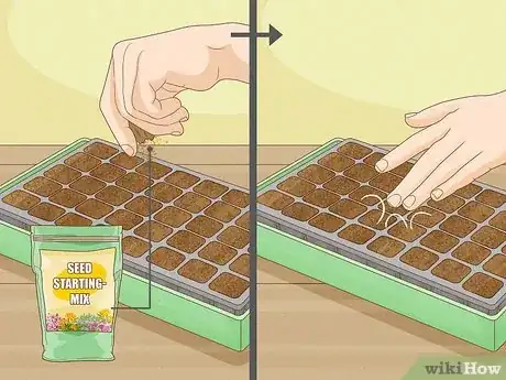Image titled Plant Seeds in a Basic Seed Tray Step 10