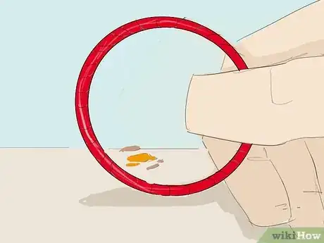 Image titled Train Your Hamster to Jump Through a Hoop Step 3