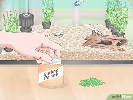 Image titled Take Care of Ghost Shrimp Step 11