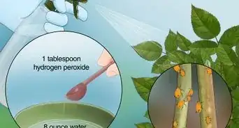 Use Hydrogen Peroxide in the Garden