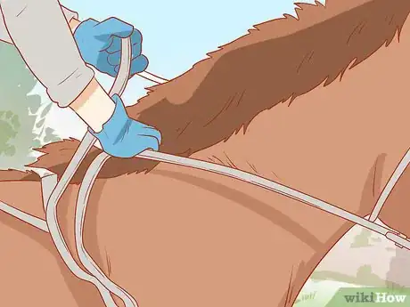Image titled Avoid Injuries While Falling Off a Horse Step 26