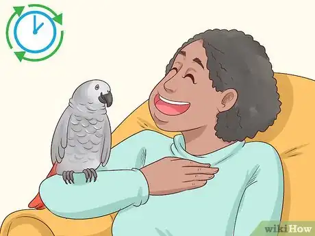Image titled Entertain an African Grey Parrot Step 1