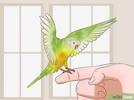 Image titled Tell if Your Pet Budgie Likes You Step 2