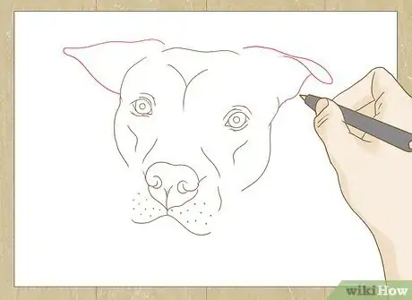 Image titled Draw a Pitbull Step 20