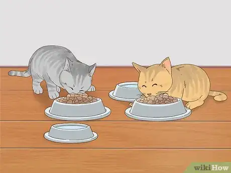 Image titled Know if Cats Are Playing or Fighting Step 13