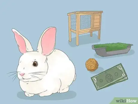Image titled Convince Your Parents to Let You Buy a Bunny Step 2