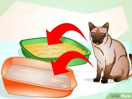 Image titled Maintain Your Kitten's Litter Box Step 1