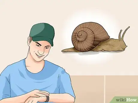 Image titled Find a Snail Step 1