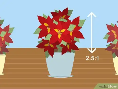 Image titled Care for Poinsettias Step 2