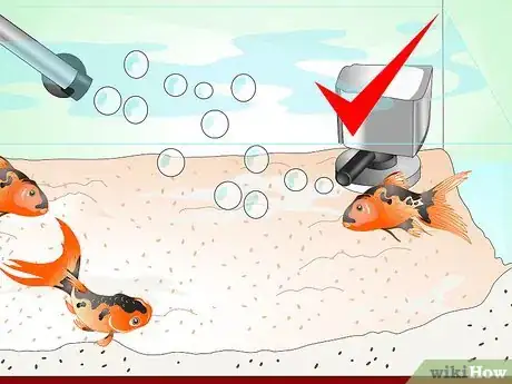 Image titled Save a Dying Goldfish Step 14