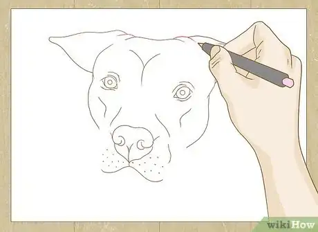 Image titled Draw a Pitbull Step 21