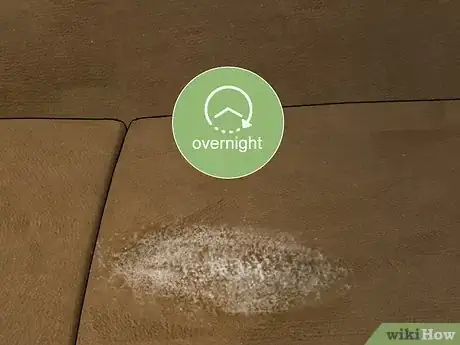 Image titled Clean Pee Off a Couch Step 5