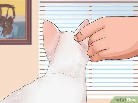 Image titled Pet a Kitten Step 5