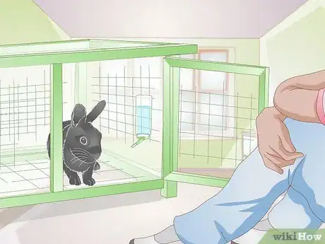 Image titled Earn Your Rabbit's Trust Step 3