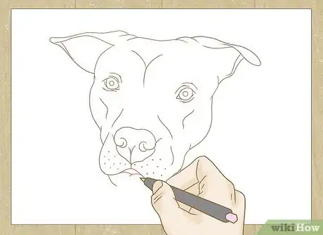 Image titled Draw a Pitbull Step 25