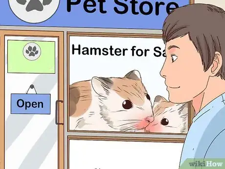 Image titled Care for a Hamster Step 1