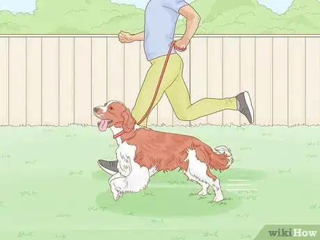 Image titled Stop a Dog from Humping Step 7