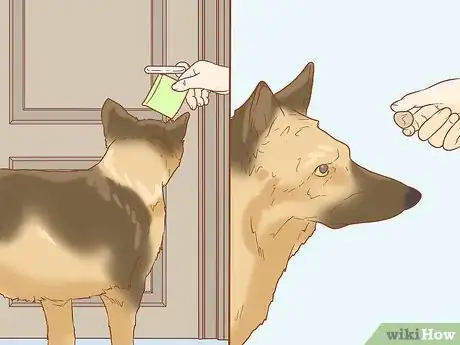 Image titled Teach Your Dog to Close the Door Step 11
