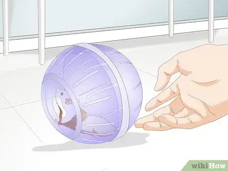 Image titled Use a Hamster Ball Step 15