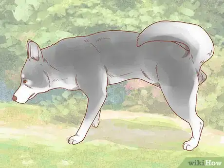 Image titled Get a Dog to Stop Whining Step 15