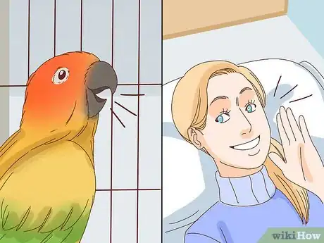 Image titled Keep a Pet Bird Quiet Step 13