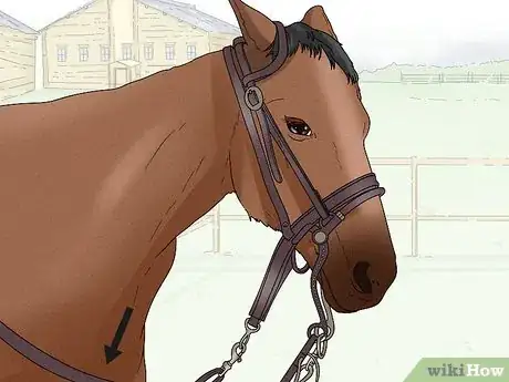 Image titled Halter a Horse Step 11