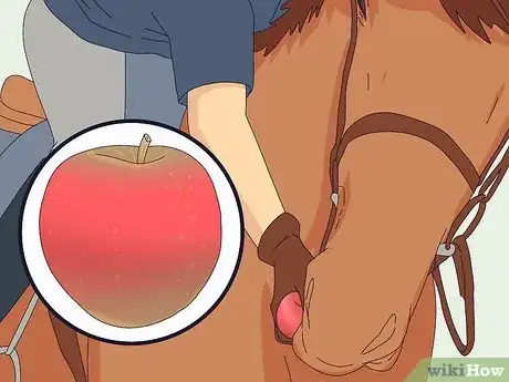 Image titled Make a Horse Move Forward Step 15