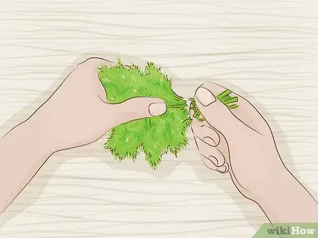 Image titled Use Dill Step 2
