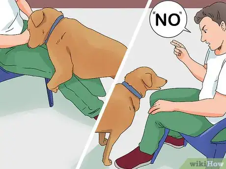Image titled Help a Dog in Heat Step 13